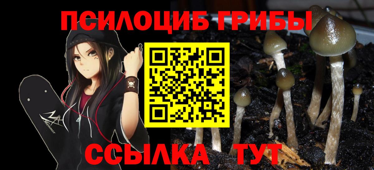 Псилоцибиновые грибы мухоморы Асино