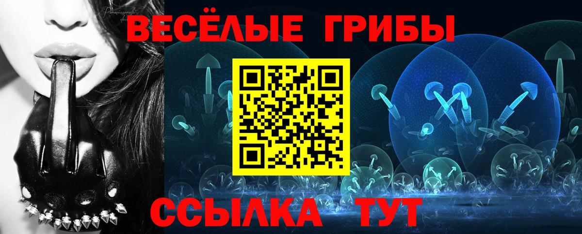 Асино  Псилоцибиновые грибы MAGIC MUSHROOMS  Вход с VPN 